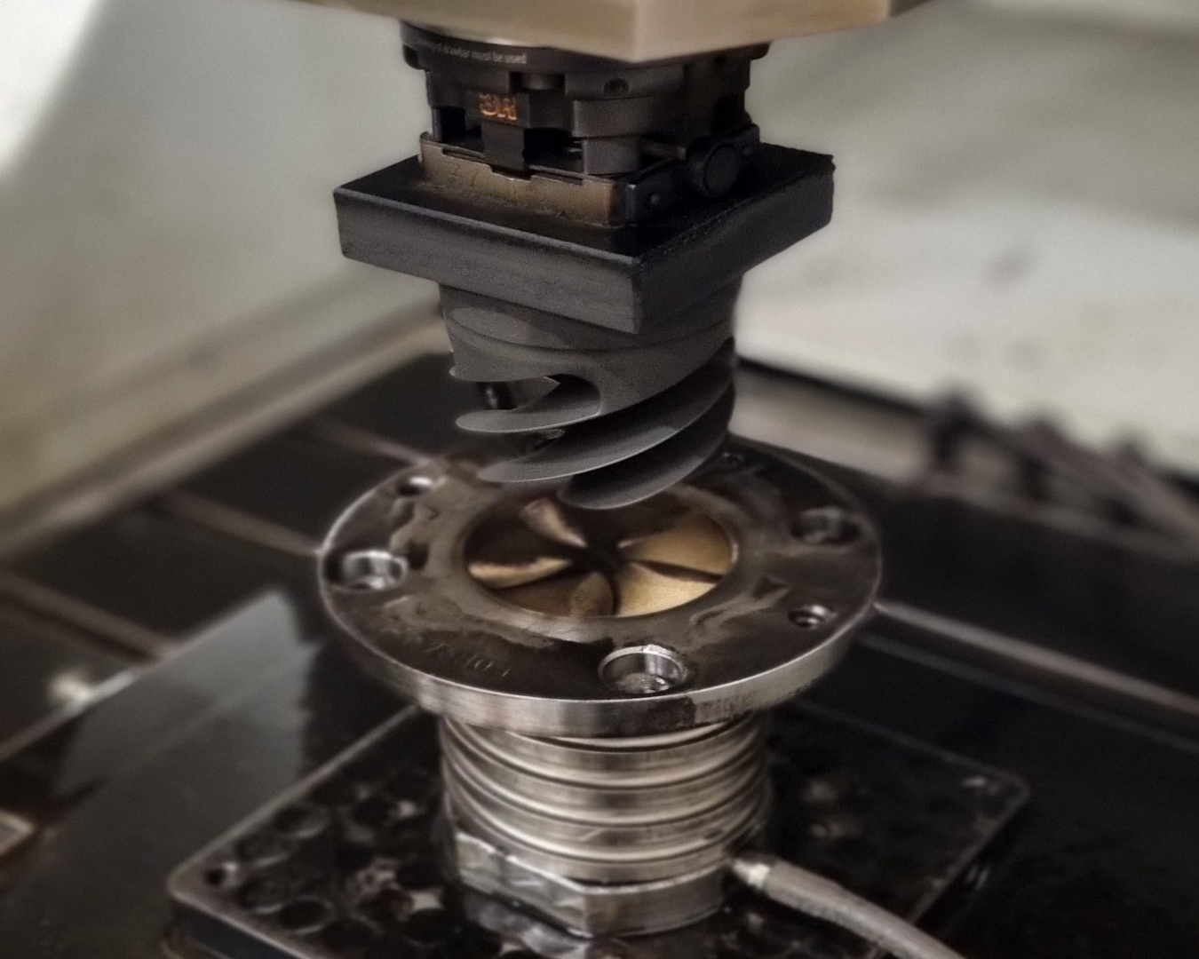 20231015_201027 – Kopie (2)